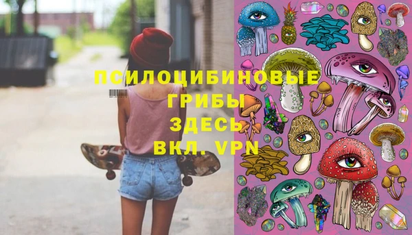 МДМА Каменка