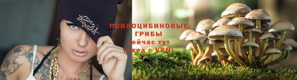 кокс Каменногорск