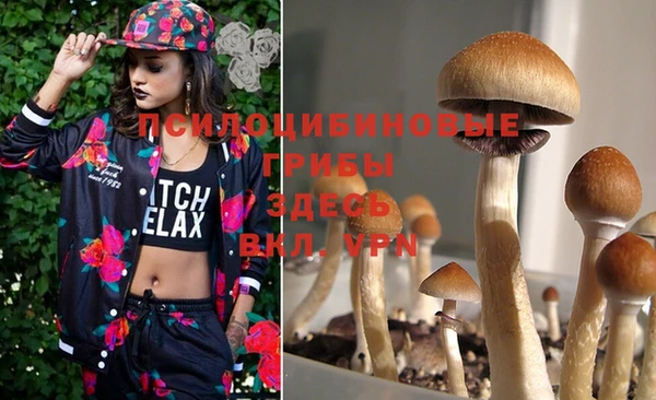 кокс Иннополис