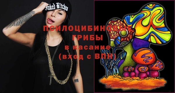ешки Инсар