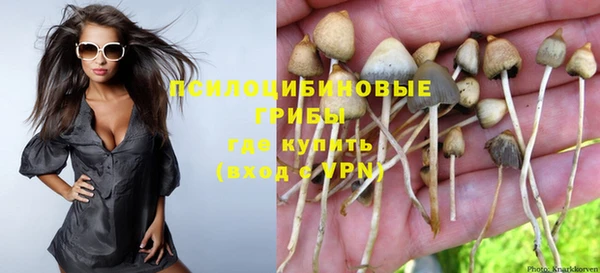 МДМА Каменка
